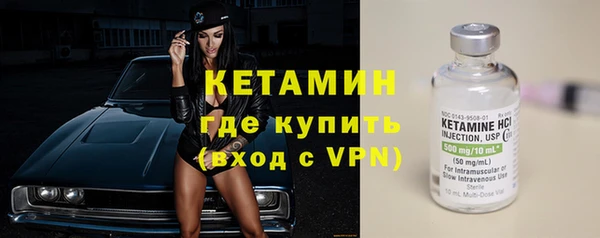 шишки Верхний Тагил