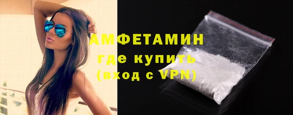 шишки Верхний Тагил