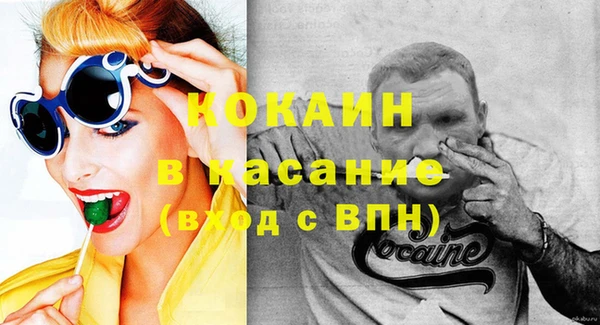 шишки Верхний Тагил