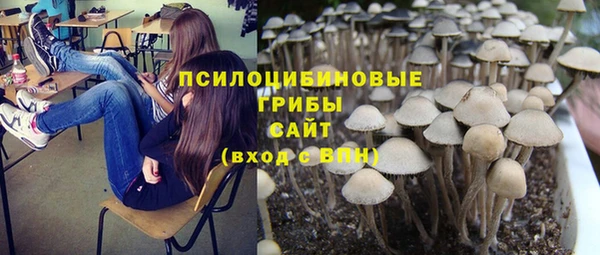 прущий лед Волосово