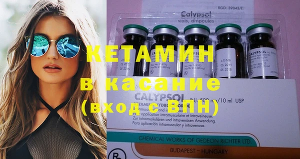 шишки Верхний Тагил