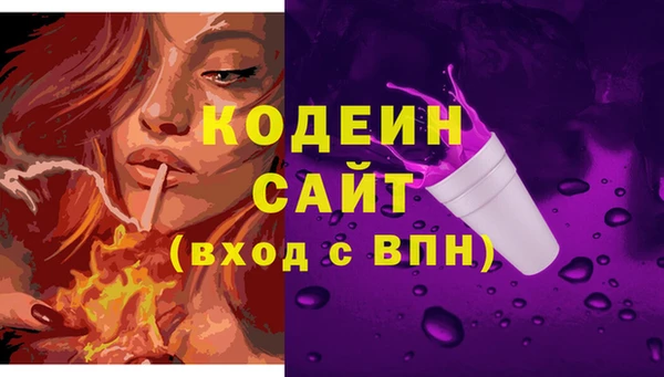 крисы Бугульма