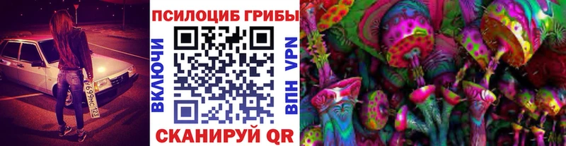 дарнет шоп  Кизляр  Галлюциногенные грибы мицелий 
